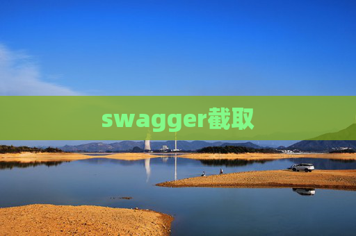 swagger截取